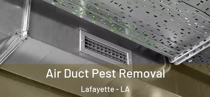 Air Duct Pest Removal Lafayette - LA