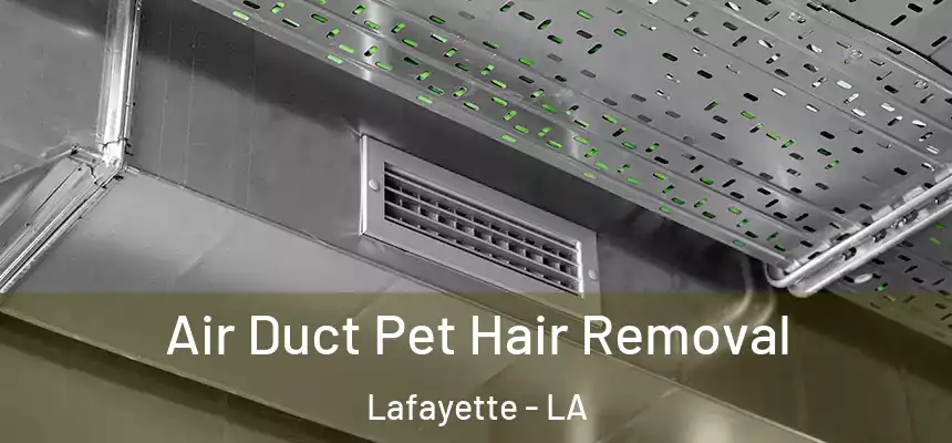 Air Duct Pet Hair Removal Lafayette - LA