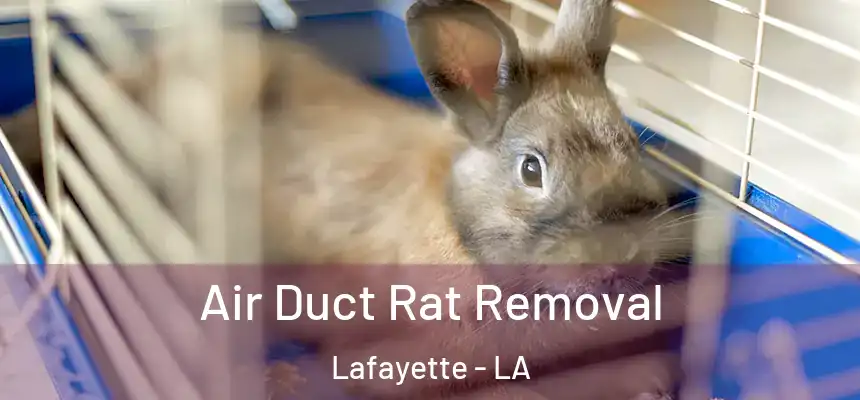  Air Duct Rat Removal Lafayette - LA