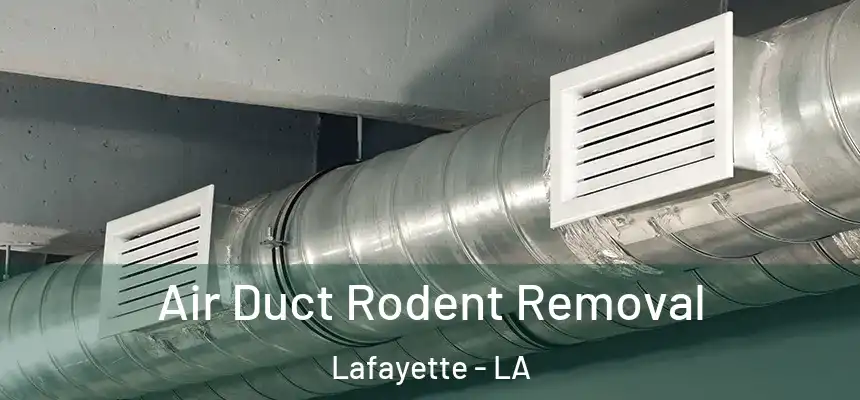 Air Duct Rodent Removal Lafayette - LA