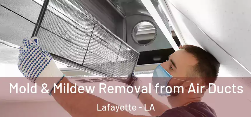  Mold & Mildew Removal from Air Ducts Lafayette - LA