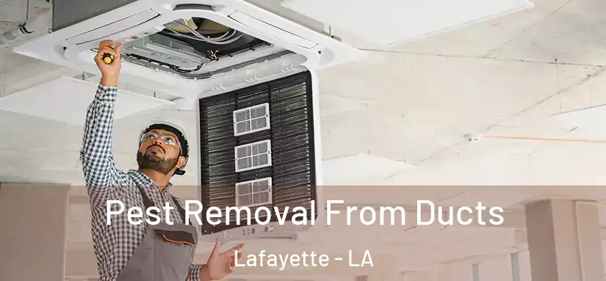  Pest Removal From Ducts Lafayette - LA