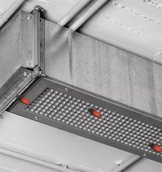 About Air Duct Cockroach Removal in Lafayette, LA