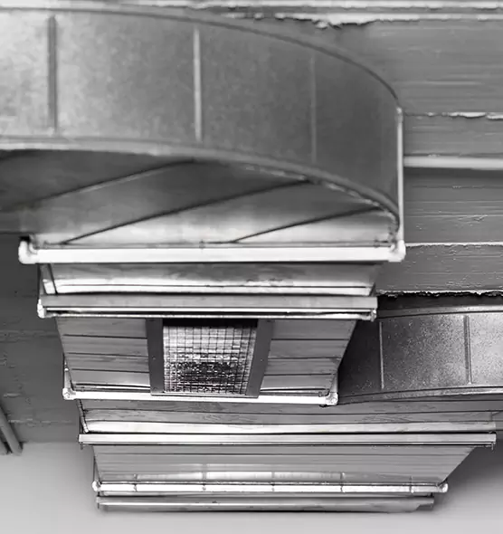 Professional Air Duct Pest Removal in Lafayette, LA