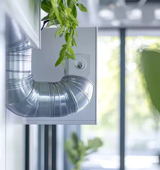 Professional Eco-Friendly Duct Cleaning Services in Lafayette, LA