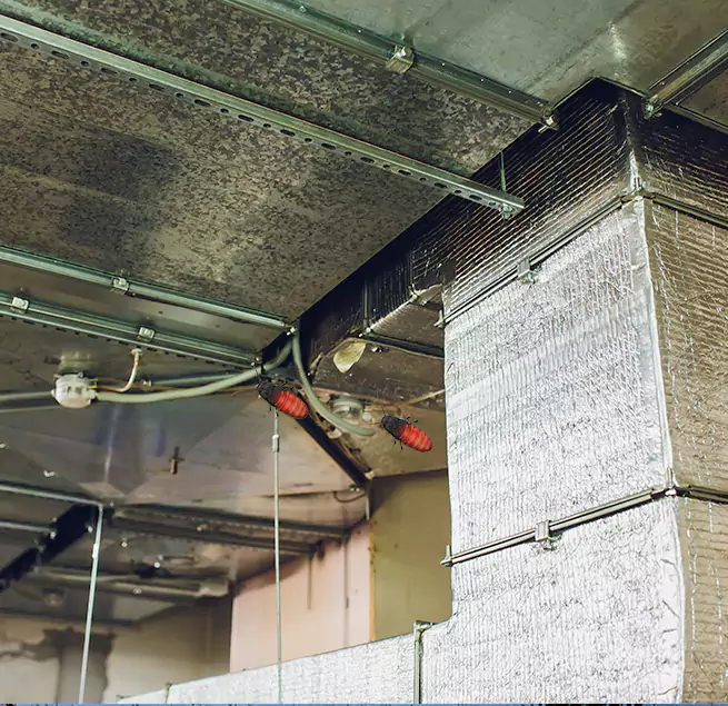 Why Homeowners & Businesses Trust Us in Lafayette, LA?