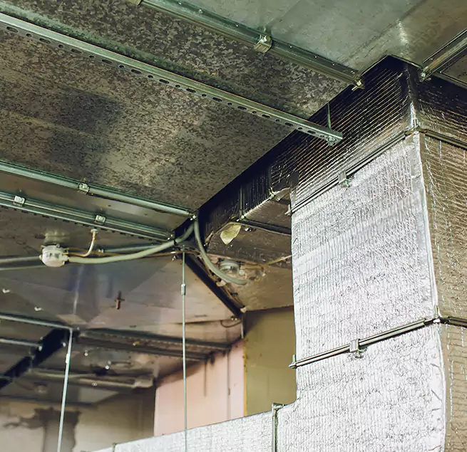 Why Homeowners & Businesses Trust Us in Lafayette, LA?